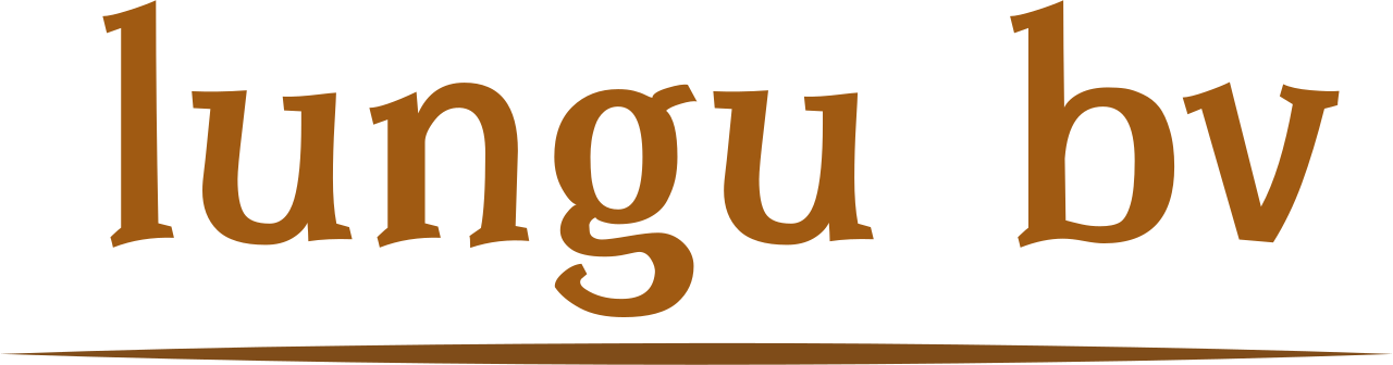 lungu-containers.com